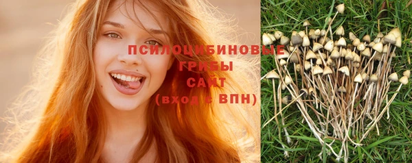соль курить ск Алексеевка