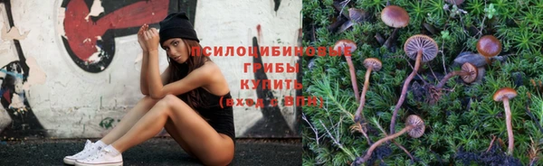 соль курить ск Алексеевка