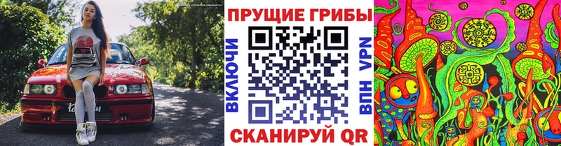 Галлюциногенные грибы GOLDEN TEACHER  маркетплейс официальный сайт  Йошкар-Ола  как найти закладки 